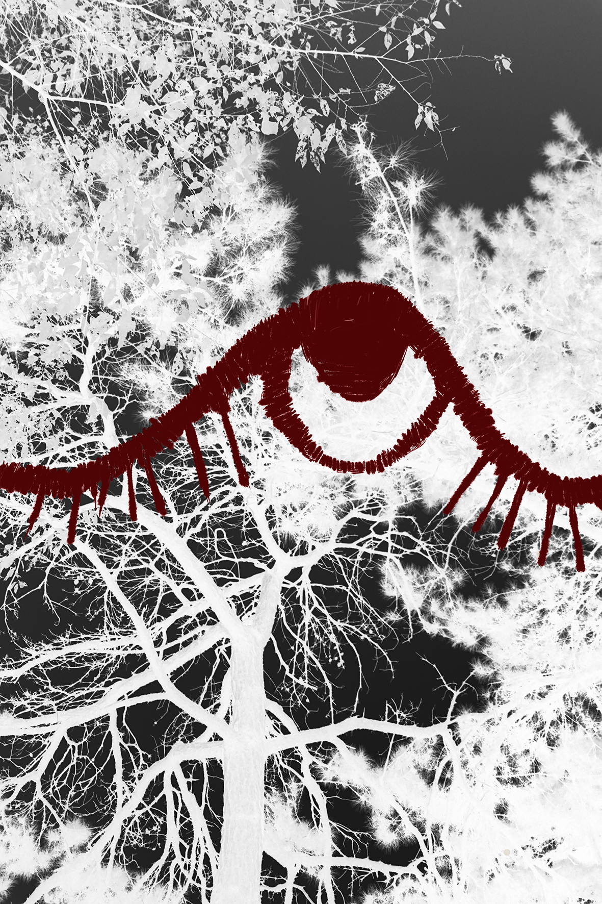 supporting pic 03_LR