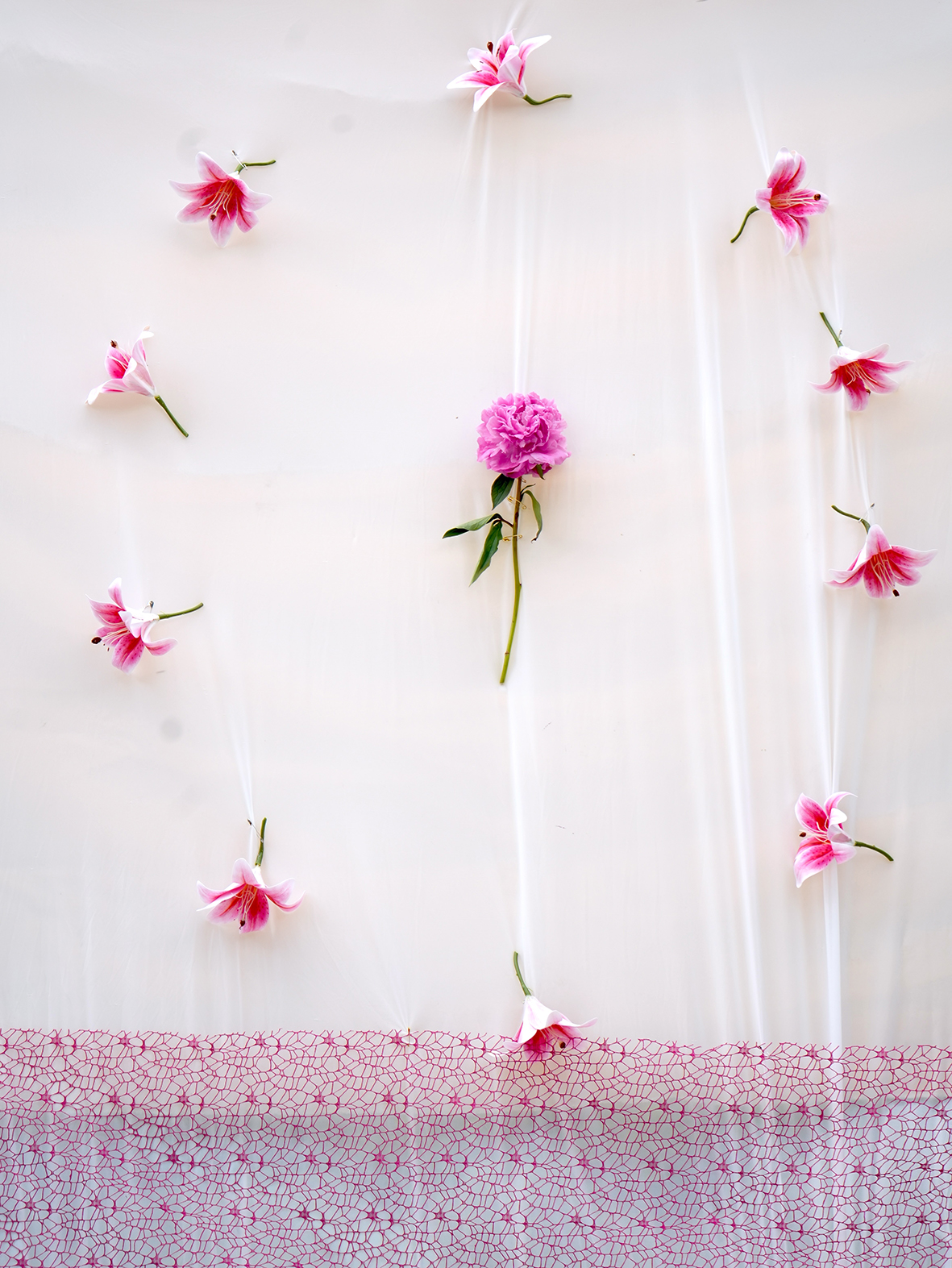 supporting pic 05_LR