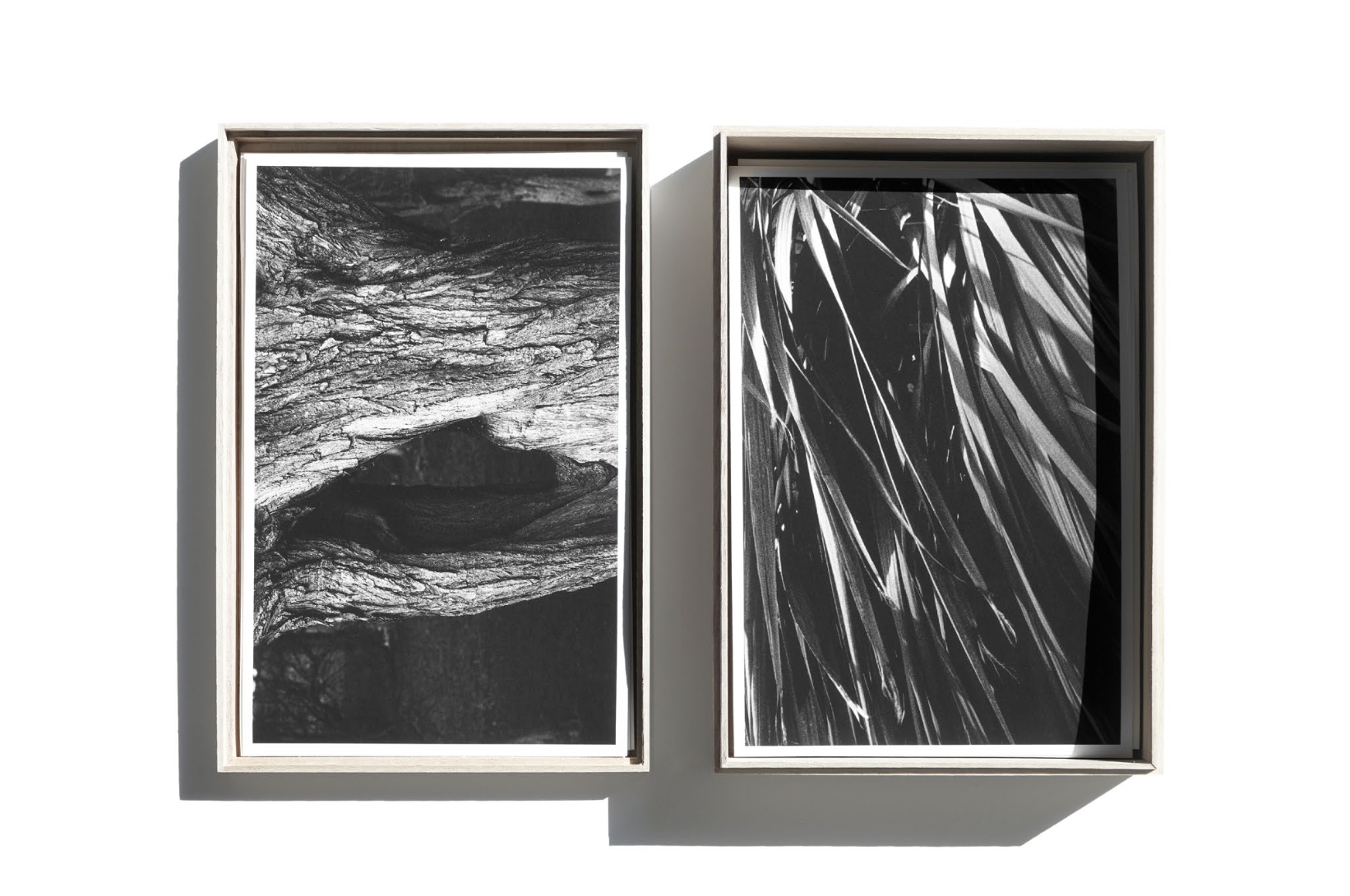 Screenshot 2026-04-12 at 14.08.09